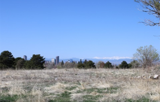 Denver Engages Sasaki for Major Park Hill Golf Course Transformation into 155-Acre Public Park