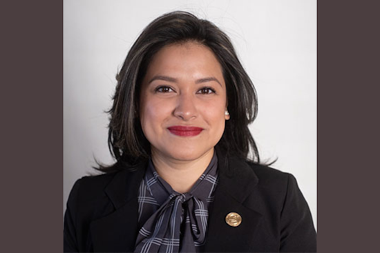 Detroit Council Member Gabriela Santiago-Romero Sues City Clerk Over Ballot Disqualification Due to Alleged Clerical Error