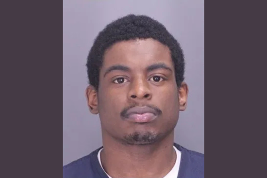 Detroit Man Charged with Larceny After Trying to Sell Stolen Dog Back to Owners in Troy