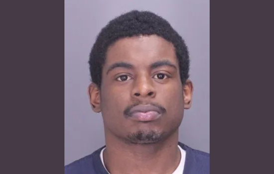 Detroit Man Charged with Larceny After Trying to Sell Stolen Dog Back to Owners in Troy