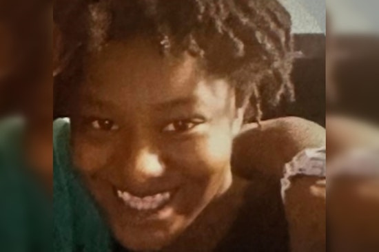 Detroit Police Seek Help in Locating Missing Teenager Alyjah Pettis