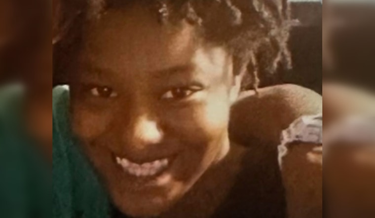 Detroit Police Seek Help in Locating Missing Teenager Alyjah Pettis
