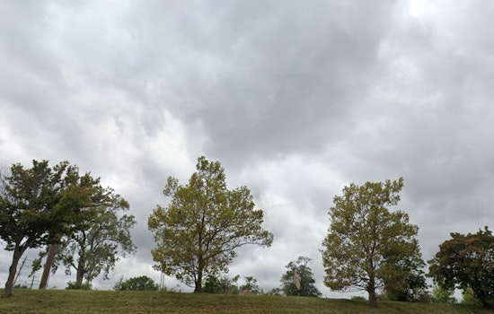 Detroit Prepares for Wet Weekend as Sunny Skies Give Way to Rain and Possible Snow, According to NWS