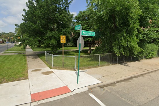 Detroit Traffic Stop Leads to Fatal Chase and Crash, Suspect in Stolen Vehicle Apprehended
