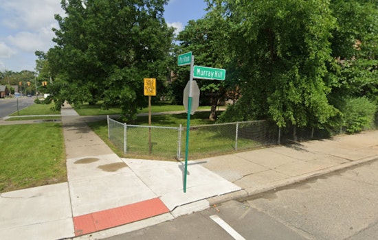 Detroit Traffic Stop Leads to Fatal Chase and Crash, Suspect in Stolen Vehicle Apprehended