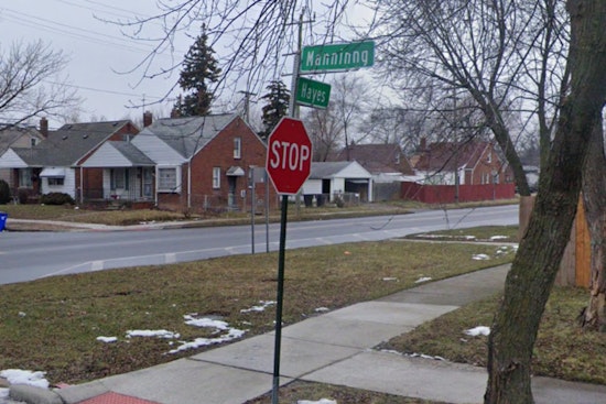 Detroit Woman Charged with Animal Cruelty, Accused of Stabbing Dog and Fleeing to South Carolina