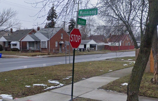 Detroit Woman Charged with Animal Cruelty, Accused of Stabbing Dog and Fleeing to South Carolina