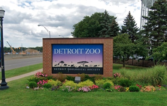 Detroit Zoo Bids Farewell to Beloved Bactrian Camel Rusty After 16 Years