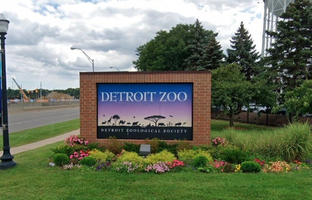 Detroit Zoo Bids Farewell to Beloved Bactrian Camel Rusty After 16 Years
