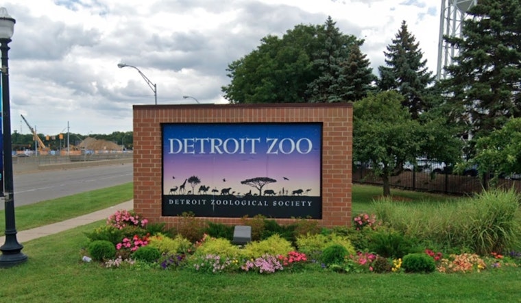Detroit Zoo Bids Farewell to Beloved Bactrian Camel Rusty After 16 Years