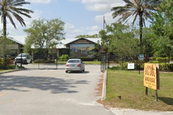 $10,000 Reward Offered in Lauderdale Lakes for Information on Severe Abuse of Giant Schnauzer