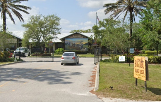 $10,000 Reward Offered in Lauderdale Lakes for Information on Severe Abuse of Giant Schnauzer