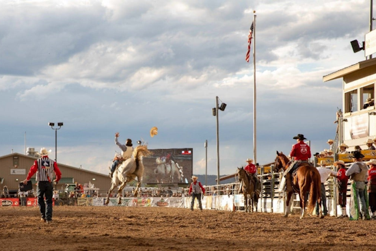 Douglas County Fair Board Seeks Passionate Volunteers for Premier Annual Event Management
