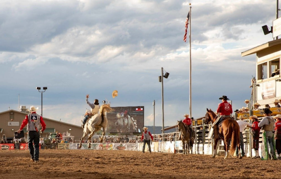 Douglas County Fair Board Seeks Passionate Volunteers for Premier Annual Event Management