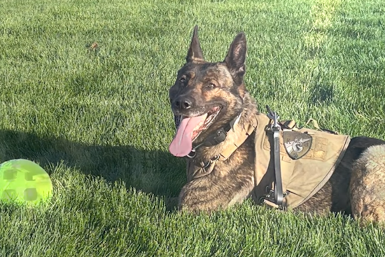 Douglas County Salutes Retiring K9 Blu for Years of Dedicated Service in Law Enforcement