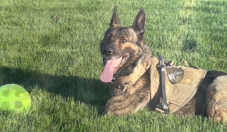 Douglas County Salutes Retiring K9 Blu for Years of Dedicated Service in Law Enforcement