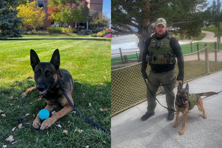 Douglas County Sheriff's K9 Dozer Celebrates Birthday with a Record of Remarkable Drug Busts