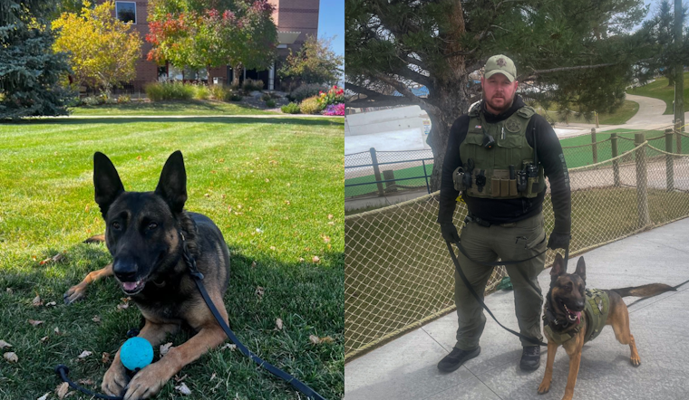Douglas County Sheriff's K9 Dozer Celebrates Birthday with a Record of Remarkable Drug Busts