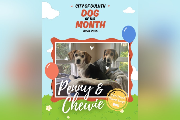 Duluth Celebrates Beagles Penny and Chewie as Dogs of the Month, Promotes Clean Waterways Initiative