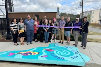 Duluth Embraces Environmental Awareness with Artistic Storm Drain Murals by Atlanta Artist Brianna Gardocki