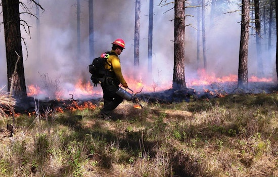 Duluth Fire Department to Conduct Prescribed Burns for Ecosystem Health and Firefighter Training