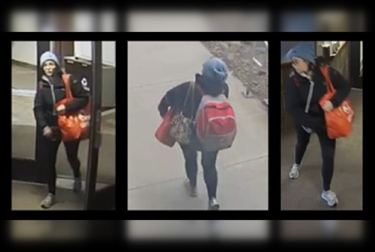 Duluth Police Seek Public's Help in Locating Missing Woman Last Seen Downtown
