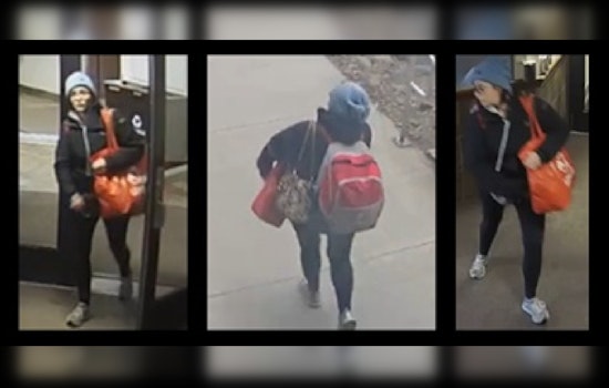 Duluth Police Seek Public's Help in Locating Missing Woman Last Seen Downtown