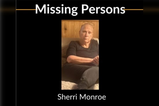 Duluth Police Seek Public's Help in Search for Missing Woman, Sherri Lee Monroe