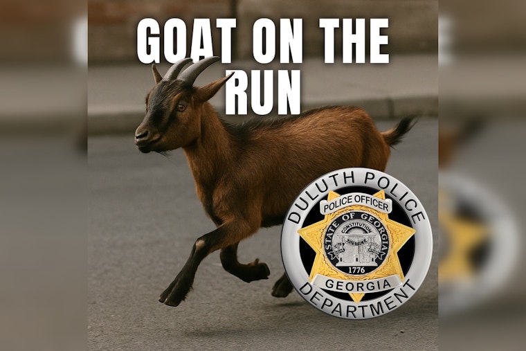 Duluth's Elusive Goat (Or Sheep) Dodges Capture, Delighting Locals and Confounding Police
