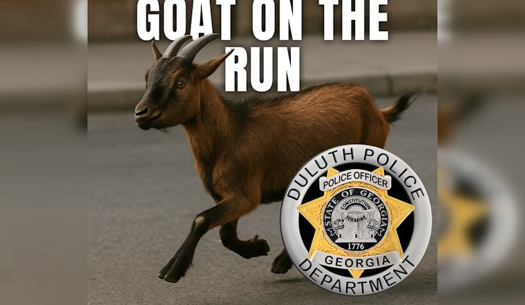 Duluth's Elusive Goat (Or Sheep) Dodges Capture, Delighting Locals and Confounding Police