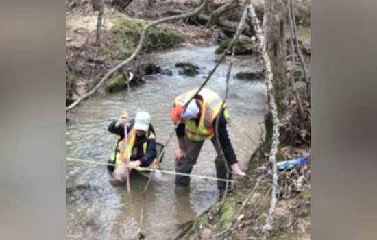 Durham Launches Southeast Durham Watershed Health Expedition to Improve Local Water Quality