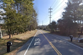 Early Morning Single-Vehicle Crash in Brentwood Claims Life of Young Woman