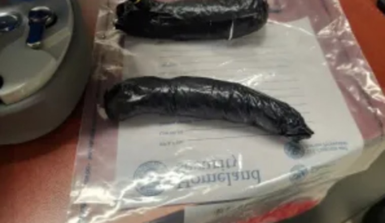 El Paso CBP Officers Foil Meth Smuggling Attempt at Ysleta International Crossing