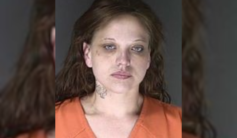 El Paso County Deputies Arrest Parolee Suspected of Multiple Offenses in Cimarron Hills