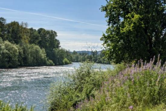 Eugene City Manager to Present Challenging 2025-2027 Budget, Structural Deficit Takes Center Stage