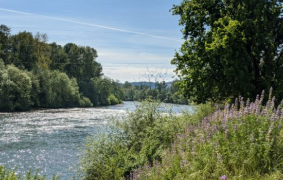 Eugene City Manager to Present Challenging 2025-2027 Budget, Structural Deficit Takes Center Stage
