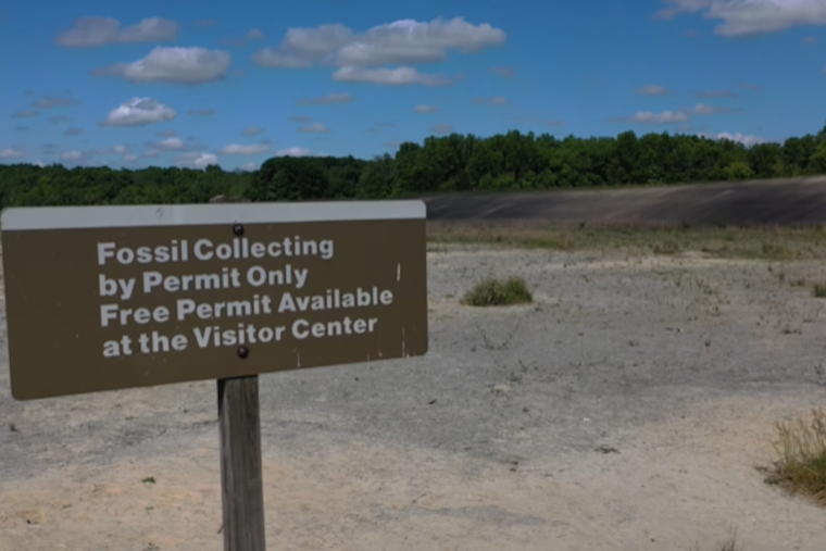 Explore Ohio's Spring Beauty with ODNR's Traveling Duo: Adventure Awaits in State Parks and Preserves