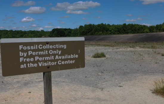 Explore Ohio's Spring Beauty with ODNR's Traveling Duo: Adventure Awaits in State Parks and Preserves