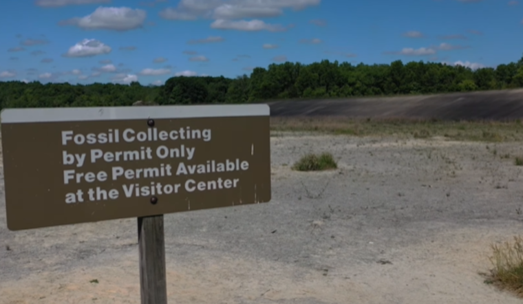Explore Ohio's Spring Beauty with ODNR's Traveling Duo: Adventure Awaits in State Parks and Preserves