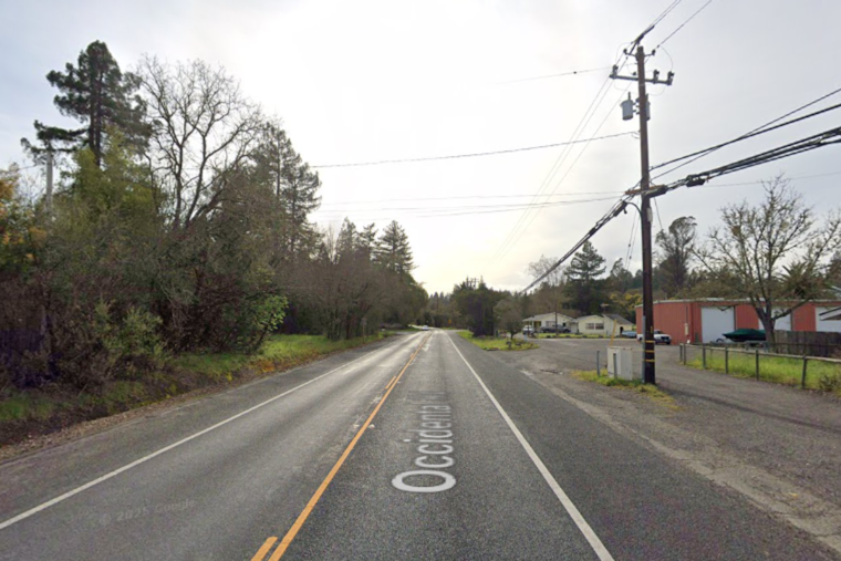 Fatal Head-On Collision on Santa Rosa's Occidental Road Leaves One Dead, Two Seriously Injured