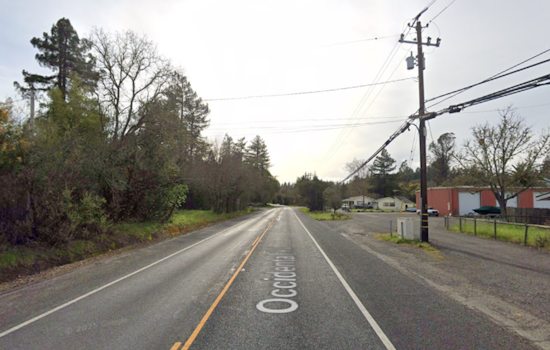 Fatal Head-On Collision on Santa Rosa's Occidental Road Leaves One Dead, Two Seriously Injured
