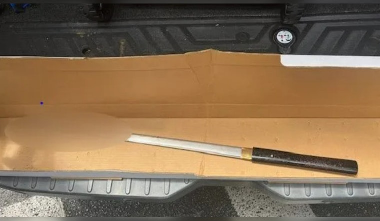 Father and Son Dead After Sword Attack Leads to Deputy-Involved Shooting in West Palm Beach