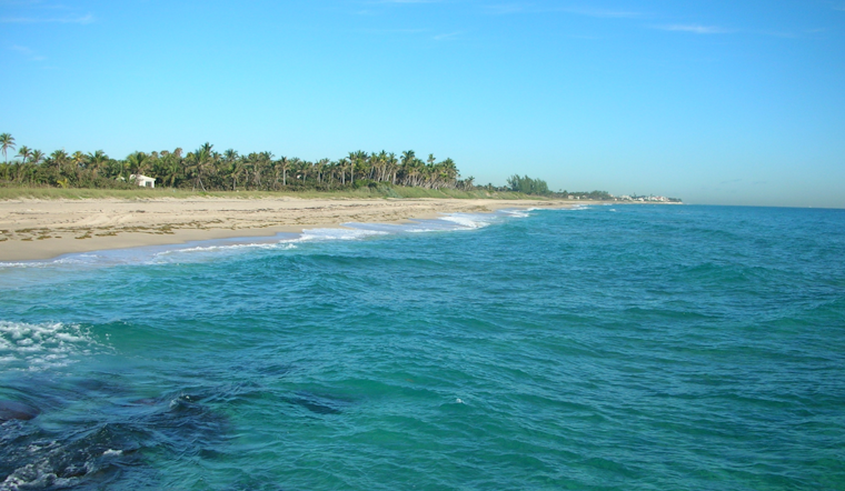 FAU Research Team Captures Rare Great White and Nurse Shark Encounter Off Boynton Beach Coast