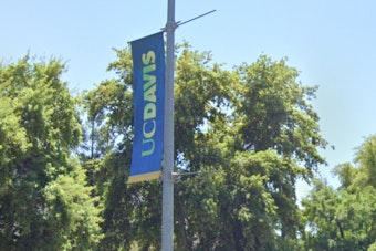 Federal Government Cancels Visas for UC Davis Students and Alumni Amid Nationwide Crackdown