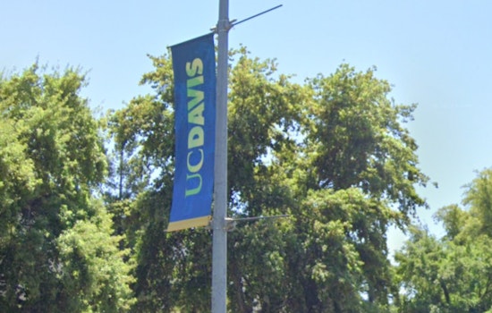 Federal Government Cancels Visas for UC Davis Students and Alumni Amid Nationwide Crackdown