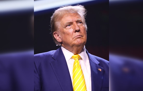 Federal Judge Allows 'Central Park Five' Defamation Lawsuit Against Donald Trump to Proceed