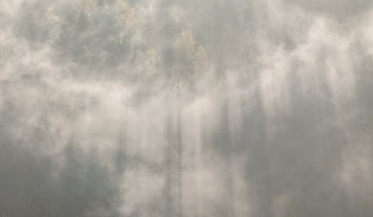 Foggy Start Clears for Sunny Day in Indianapolis as Cold Nights Continue Despite Spring's Approach