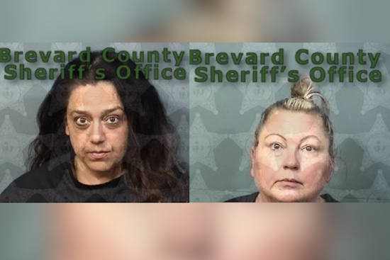 Former Brevard County Educators Charged Over Underage Drinking Party in Cocoa Beach