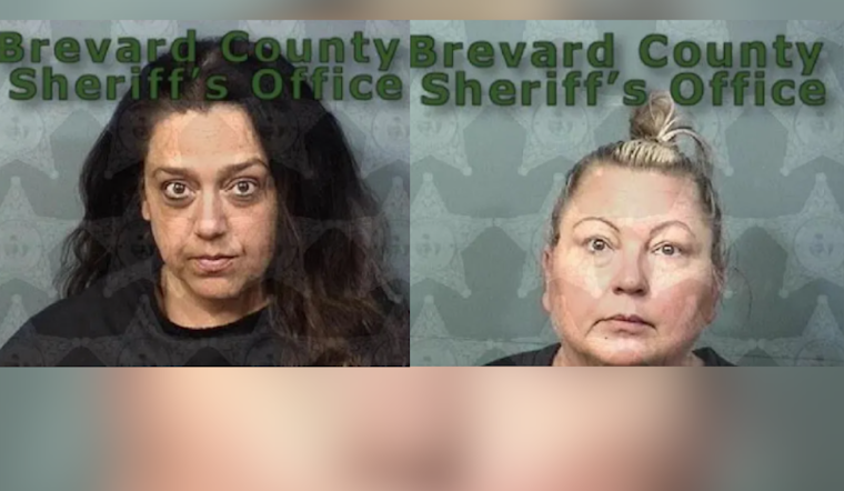 Former Brevard County Educators Charged Over Underage Drinking Party in Cocoa Beach
