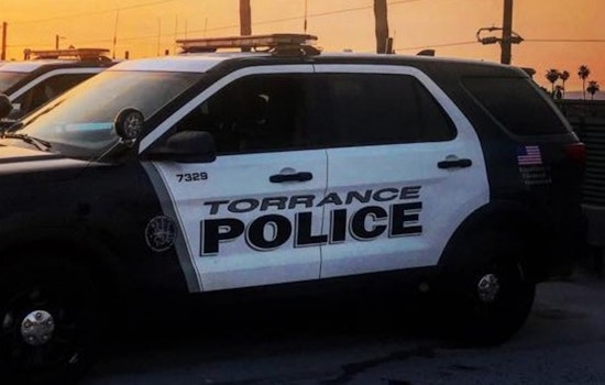 Former Torrance Officers Plead Guilty to Felony Vandalism Involving Hate Symbol